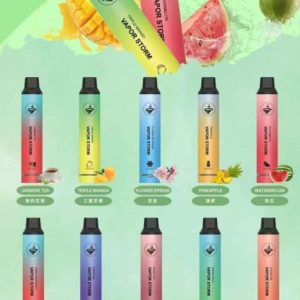 VAPOR STORM 風暴 5000口 飛霧發光抛棄式電子烟 3%尼古丁含量